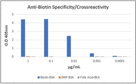 Anti-Biotin Antibody, clone 8H6.8