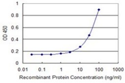 ANTI-MUSK antibody produced in mouse clone 4E5, purified immunoglobulin, buffered aqueous solution