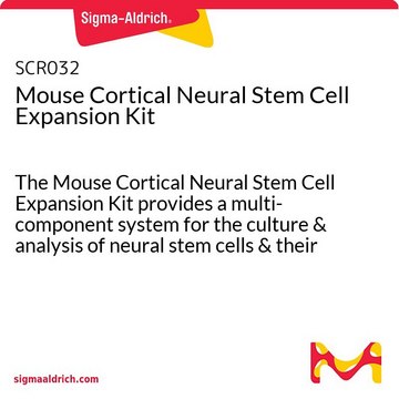 Mouse Cortical Neural Stem Cell Expansion Kit The Mouse Cortical Neural Stem Cell Expansion Kit provides a multi-component system for the culture &amp; analysis of neural stem cells &amp; their differentiated progenies.