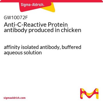 Anti-C-Reactive Protein antibody produced in chicken affinity isolated antibody, buffered aqueous solution