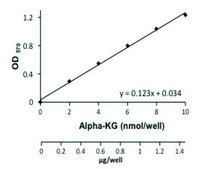 α-Ketoglutarate Assay Kit sufficient for 100 colorimetric&nbsp;or&nbsp;fluorometric&nbsp;tests