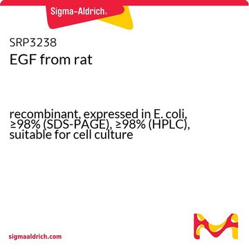 EGF 来源于大鼠 recombinant, expressed in E. coli, &#8805;98% (SDS-PAGE), &#8805;98% (HPLC), suitable for cell culture