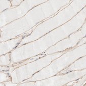 Anti-SPTB antibody produced in rabbit Ab2, Prestige Antibodies® Powered by Atlas Antibodies, affinity isolated antibody, buffered aqueous glycerol solution