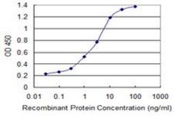 Monoclonal Anti-JMJD1C antibody produced in mouse clone 3A8, purified immunoglobulin, buffered aqueous solution