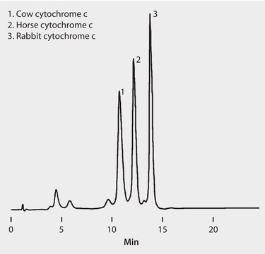 HPLC Analysis of Cytochrome c Species Variants on Discovery&#174; BIO PolyMA-SCX (Ion Exchange) application for HPLC