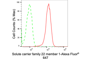 Anti Solute Carrier Family 22 Member 1 Antibody, clone 24GB2510, Rabbit Monoclonal clone 24GB2510, recombinant rabbit monoclonal, expressed in HEK293 cells