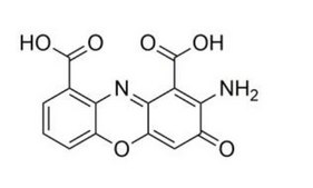 Cinnabarinic acid solution 1 mg/mL in DMSO, certified reference material, ampule of 1 mL, Cerilliant®