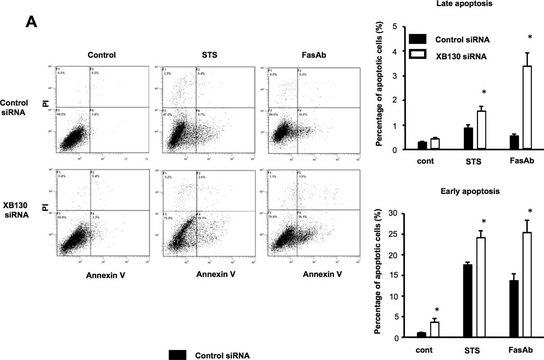 Anti-Fas Antibody (human, activating), clone CH11 clone CH11, Upstate&#174;, from mouse