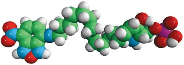 NBD Sphingosine-1-Phosphate Avanti Polar Lipids 810207X