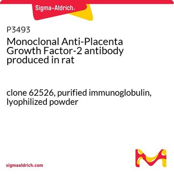 Monoclonal Anti-Placenta Growth Factor-2 antibody produced in rat clone 62526, purified immunoglobulin, lyophilized powder