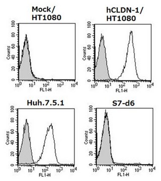 Anti-Claudin-1/CLDN1 Antibody, clone 7A5 clone 7A5, from mouse