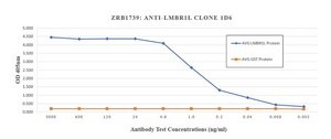 Anti-LMBR1L Antibody, clone 1D6 ZooMAb® Rabbit Monoclonal recombinant, expressed in HEK 293 cells