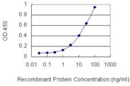 Monoclonal Anti-PTPRO antibody produced in mouse clone 3F4, purified immunoglobulin, buffered aqueous solution