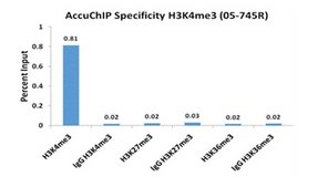 AccuChIP Unmodified-Histone H3 (Lys4) Chromatin Immunoprecipitation Internal Control target-specific spike-in controls that make ChIP experiments more quantitative and accurate