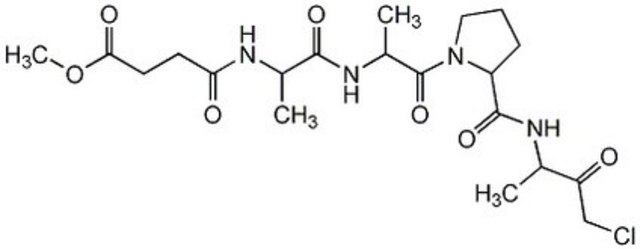 Elastase Inhibitor II The Elastase Inhibitor II controls the biological activity of Elastase. This small molecule/inhibitor is primarily used for Protease Inhibitors applications.