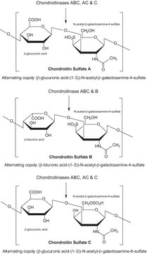 软骨素酶&#160;B 来源于肝素黄杆菌 lyophilized powder (with BSA as stabilizer)