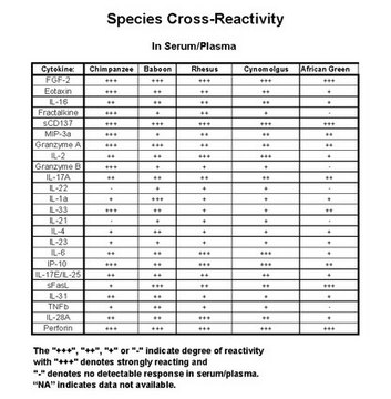 MILLIPLEX&#174; Non-Human Primate Cytokine/Chemokine Panel II - 25-Plex Premixed Immunology Multiplex Assay Simultaneously analyze multiple cytokine and chemokine biomarkers with Bead-Based Multiplex Assays using the Luminex technology, in non-human primate serum, plasma and cell culture samples.