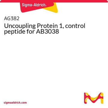 Uncoupling Protein 1, control peptide for AB3038