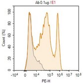 Anti-GFRAL Antibody, clone 1F5 ZooMAb® Rabbit Monoclonal recombinant, expressed in HEK 293 cells