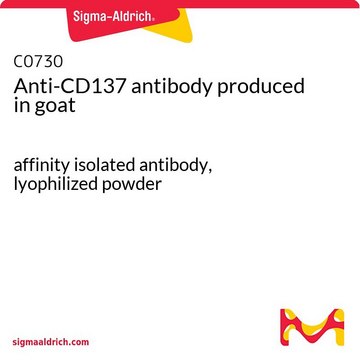 Anti-CD137 antibody produced in goat affinity isolated antibody, lyophilized powder