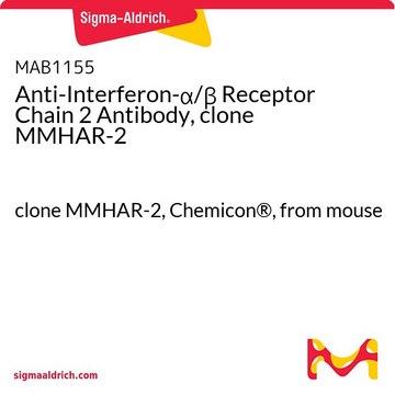 抗干扰素-&#945;/&#946;受体链 2 抗体，克隆 MMHAR-2 clone MMHAR-2, Chemicon&#174;, from mouse