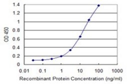 Monoclonal Anti-MCM3AP antibody produced in mouse clone 1H3, purified immunoglobulin, buffered aqueous solution