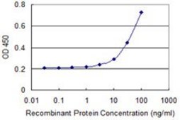 Monoclonal Anti-CDC23 antibody produced in mouse clone 1F3, purified immunoglobulin, buffered aqueous solution