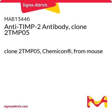 Anti-TIMP-2 Antibody, clone 2TMP05 clone 2TMP05, Chemicon&#174;, from mouse