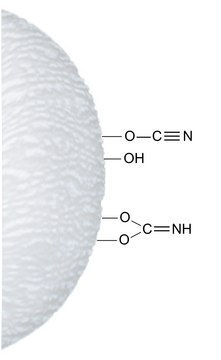 溴化氰-活化-琼脂糖&#8482; 4 Fast Flow lyophilized powder