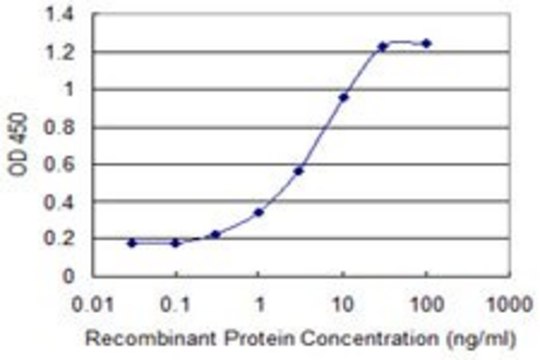 Monoclonal Anti-MBD3L1 antibody produced in mouse clone 1C7, purified immunoglobulin, buffered aqueous solution