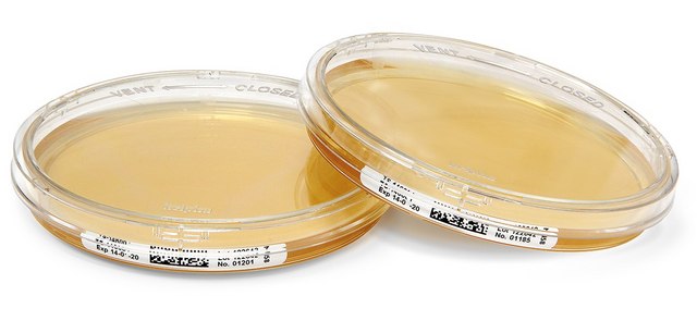 Tryptic Soy Agar - Ready-to-use Settle Plates ICR with non-lockable lid, plate volume × diam. 30&#160;mL × 90&#160;mm, sterile; &#947;-irradiated, pkg of 10&#160;plates Triple packed, suitable for air monitoring