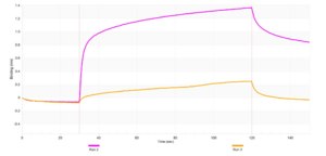 Anti-ATF1 Antibody, clone 1N21 ZooMAb® Rabbit Monoclonal recombinant, expressed in HEK 293 cells