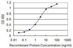 Monoclonal Anti-KRT75 antibody produced in mouse clone 3F9, purified immunoglobulin, buffered aqueous solution