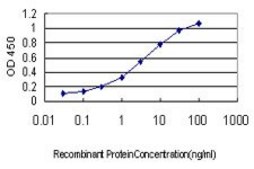 Monoclonal Anti-SCGN antibody produced in mouse clone 2G7, purified immunoglobulin, buffered aqueous solution