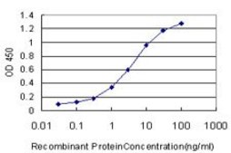 Monoclonal Anti-CLASP1 antibody produced in mouse clone 6A11, purified immunoglobulin, buffered aqueous solution