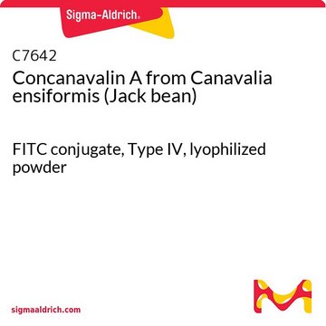 Concanavalin A from Canavalia ensiformis (Jack bean) FITC conjugate, Type IV, lyophilized powder