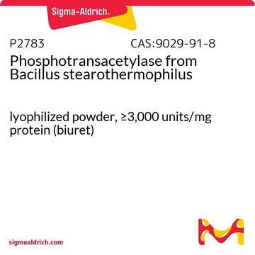 Phosphotransacetylase from Bacillus stearothermophilus lyophilized powder, &#8805;3,000&#160;units/mg protein (biuret)