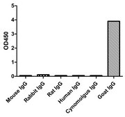 Alpaca Anti-Goat IgG(Fcγ) Biotin single domain Antibody recombinant Alpaca(VHH) Nano antibody