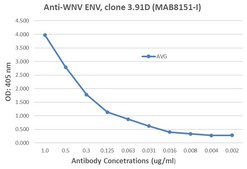 Anti-West Nile Virus/Kunjin Antibody, Envelope Antibody, clone 3.91D