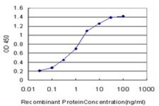 Monoclonal Anti-MAGI2 antibody produced in mouse clone 6C8, purified immunoglobulin, buffered aqueous solution