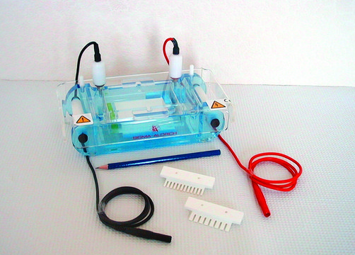 Mini horizontal electrophoresis unit complete set