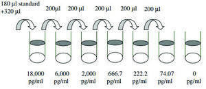 Human Tumor Necrosis Factor β ELISA Kit for serum, plasma, cell culture supernatants and urine