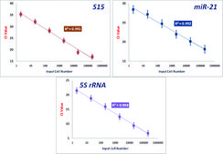 GenElute™ Single Cell RNA Purification Kit