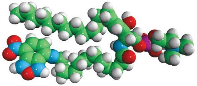 C12-NBD Sphingomyelin Avanti Polar Lipids 810219P, powder