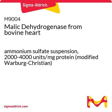 Malic Dehydrogenase from bovine heart ammonium sulfate suspension, 2000-4000&#160;units/mg protein (modified Warburg-Christian)