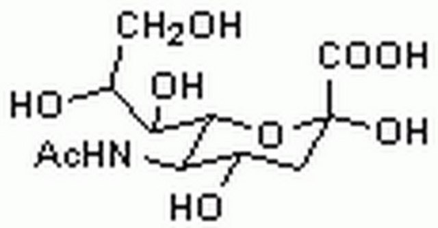 N-乙酰神经氨酸，合成 A component of mucoproteins, mucopolysaccharides, and mucolipids.