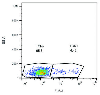 Monoclonal Anti-TCR gamma/delta antibody produced in mouse clone B1