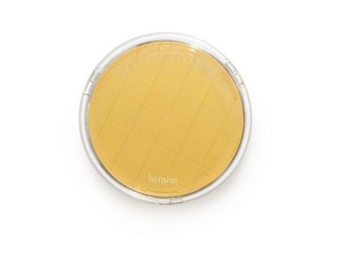 Tryptic Soy Agar - Ready-to-use Contact Plates Sodium Thiosulfate, Lecithin, Penase, Histidine, Tween&#174;, ICR plus with lockable lid, plate diam. 55&#160;mm, sterile; &#947;-irradiated, pkg of 10&#160;plates Triple packed, suitable for surface monitoring