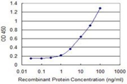 Monoclonal Anti-LSM1, (C-terminal) antibody produced in mouse clone 4F7, purified immunoglobulin, buffered aqueous solution