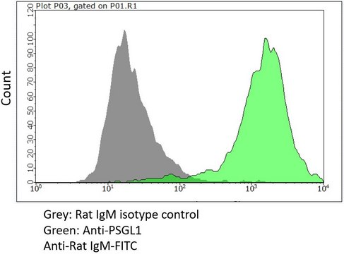 Anti-PSGL-1/CD162 Antibody, clone HECA-452